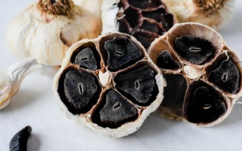 I 7 migliori antibiotici naturali