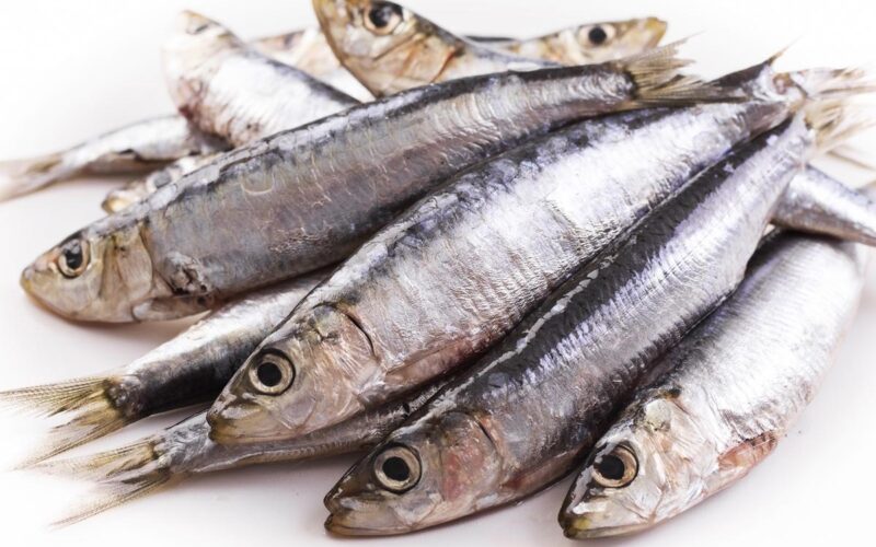 Grassi, sì ma buoni – Pesce azzurro