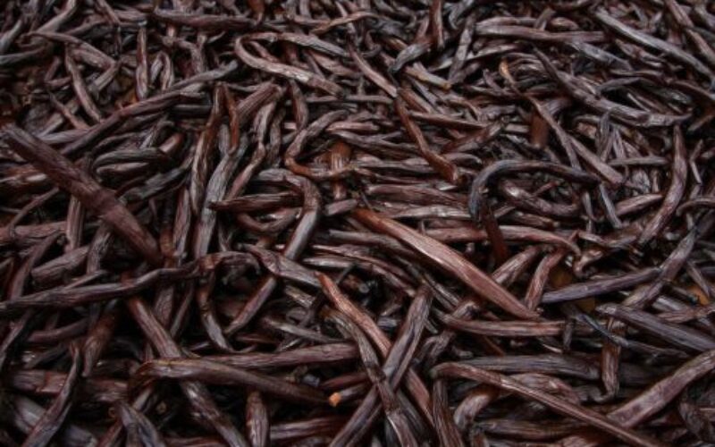Un aroma è in grado di abbattere l’ansia. Lo studio
