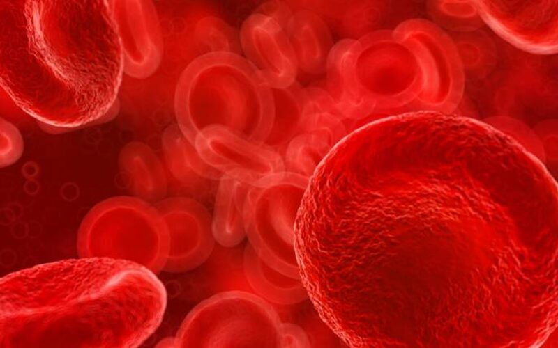 La salute è nel sangue: l’importanza degli esami regolari